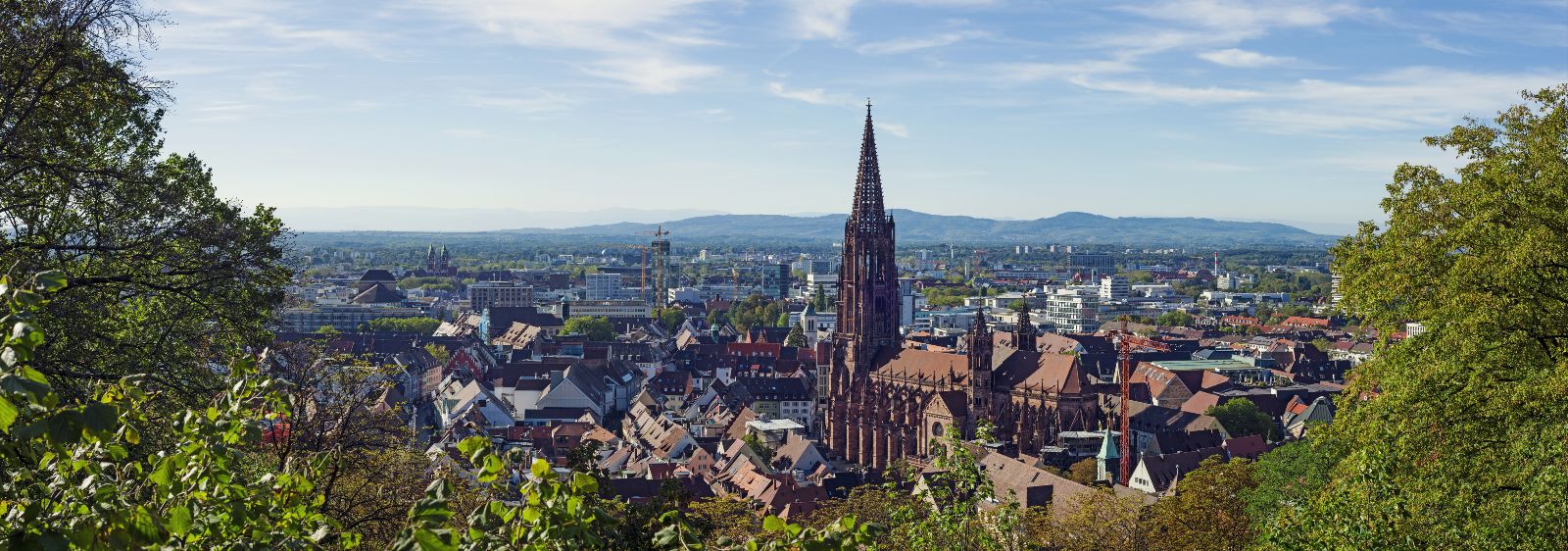 Panoramablick über die Stadt Freiburg