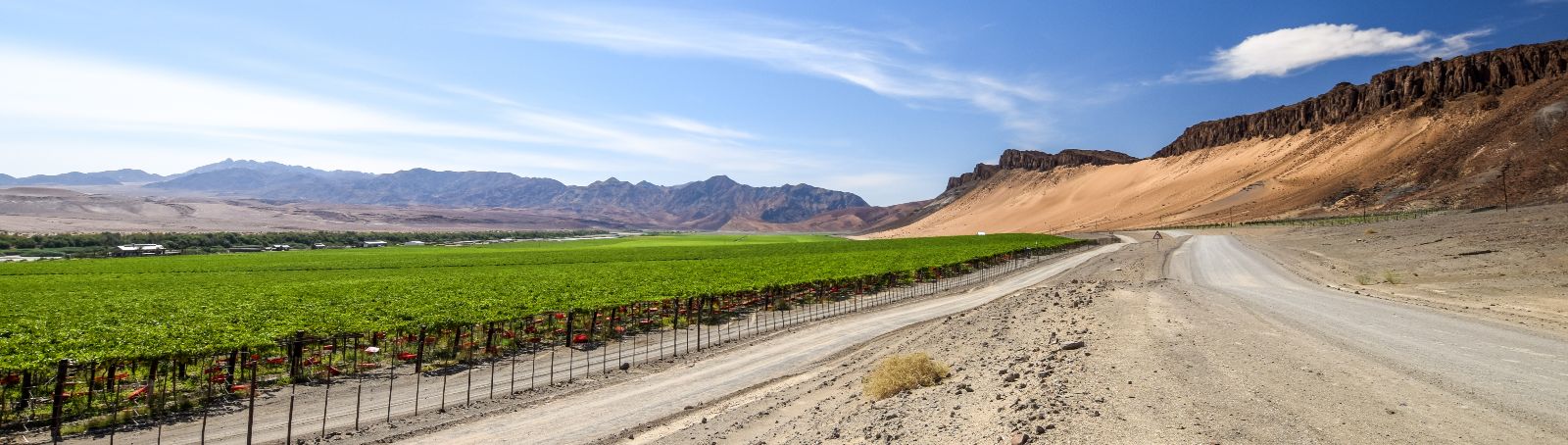 Das Gewinnerprojekt Orange River Vineyard kommt aus Aussenkehr in Namibia, einer Weinbauregion an der Grenze zu Südafrika.