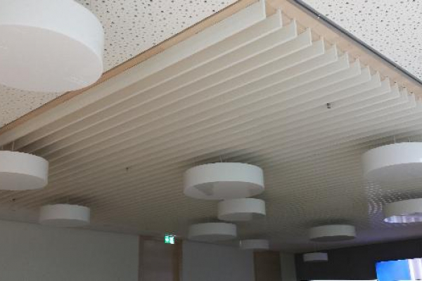 Cooling ceiling in a training room of the Münster State Insurance Institute with vertically suspended extruded aluminium profiles filled with phase change materials (PCM). The vertical orientation of the PCM-containing profiles increases the cooling effect of the cooling ceiling, which can be operated passively on a regular basis and actively during warm periods.
